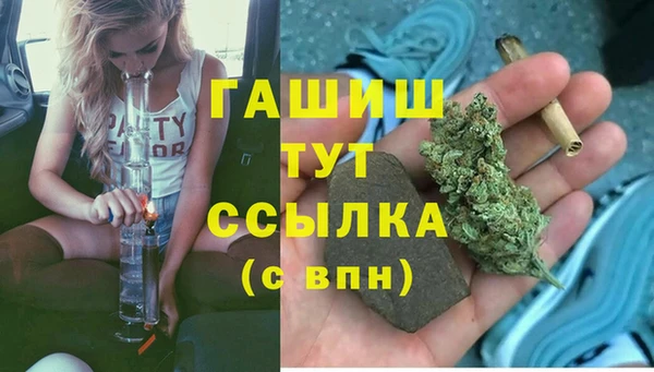 apvp Алзамай